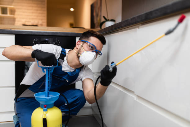 Best Best Pest Control Companies  in Cabana Colony, FL