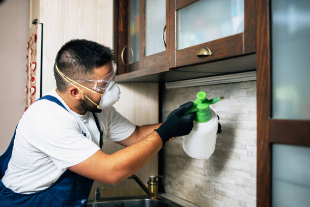 Best Flea Control Services  in Cabana Colony, FL