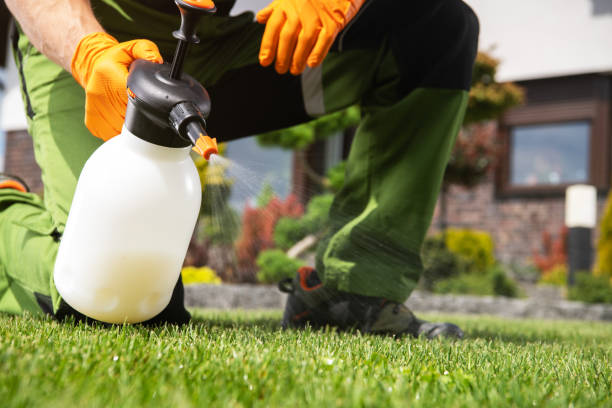 Reliable Cabana Colony, FL Pest Control Solutions